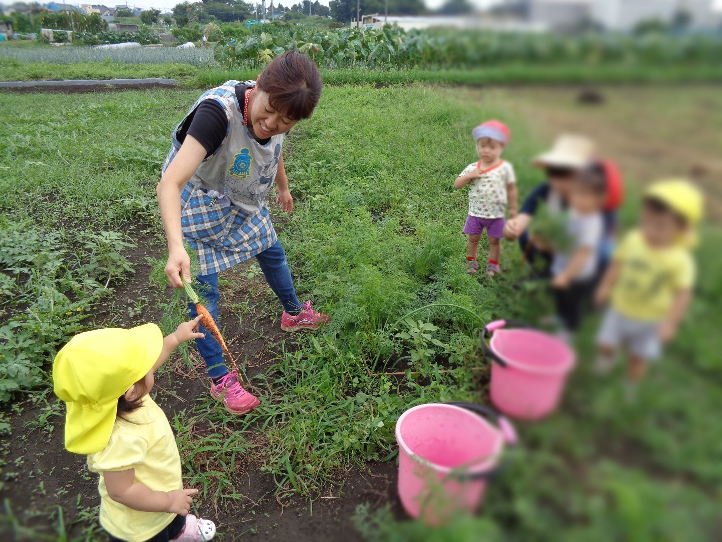 写真：畑活動