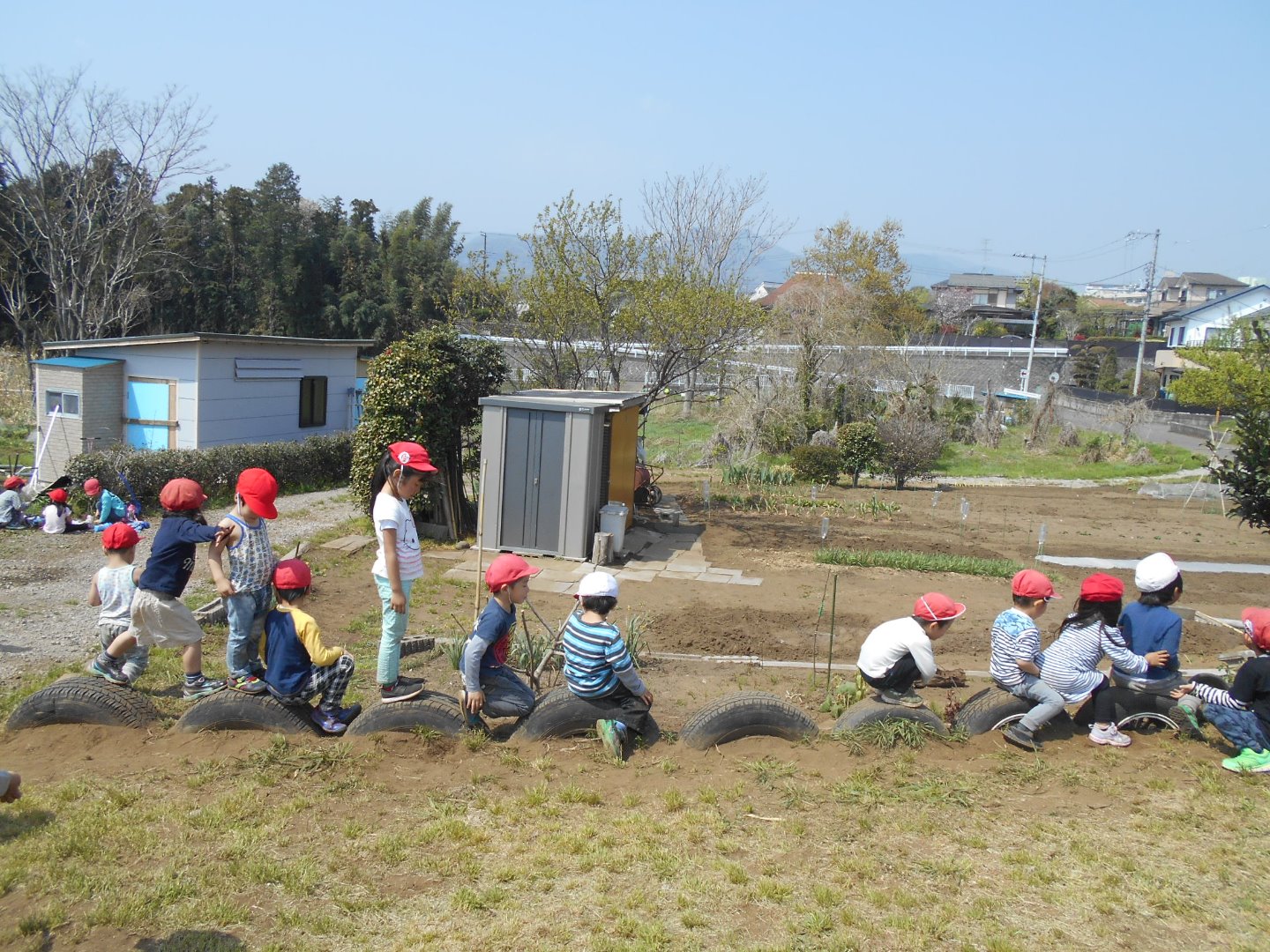 写真：自然散策