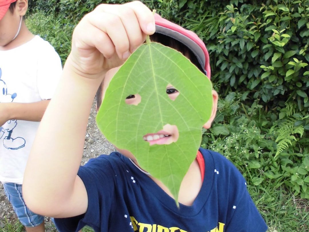 写真：自然散策