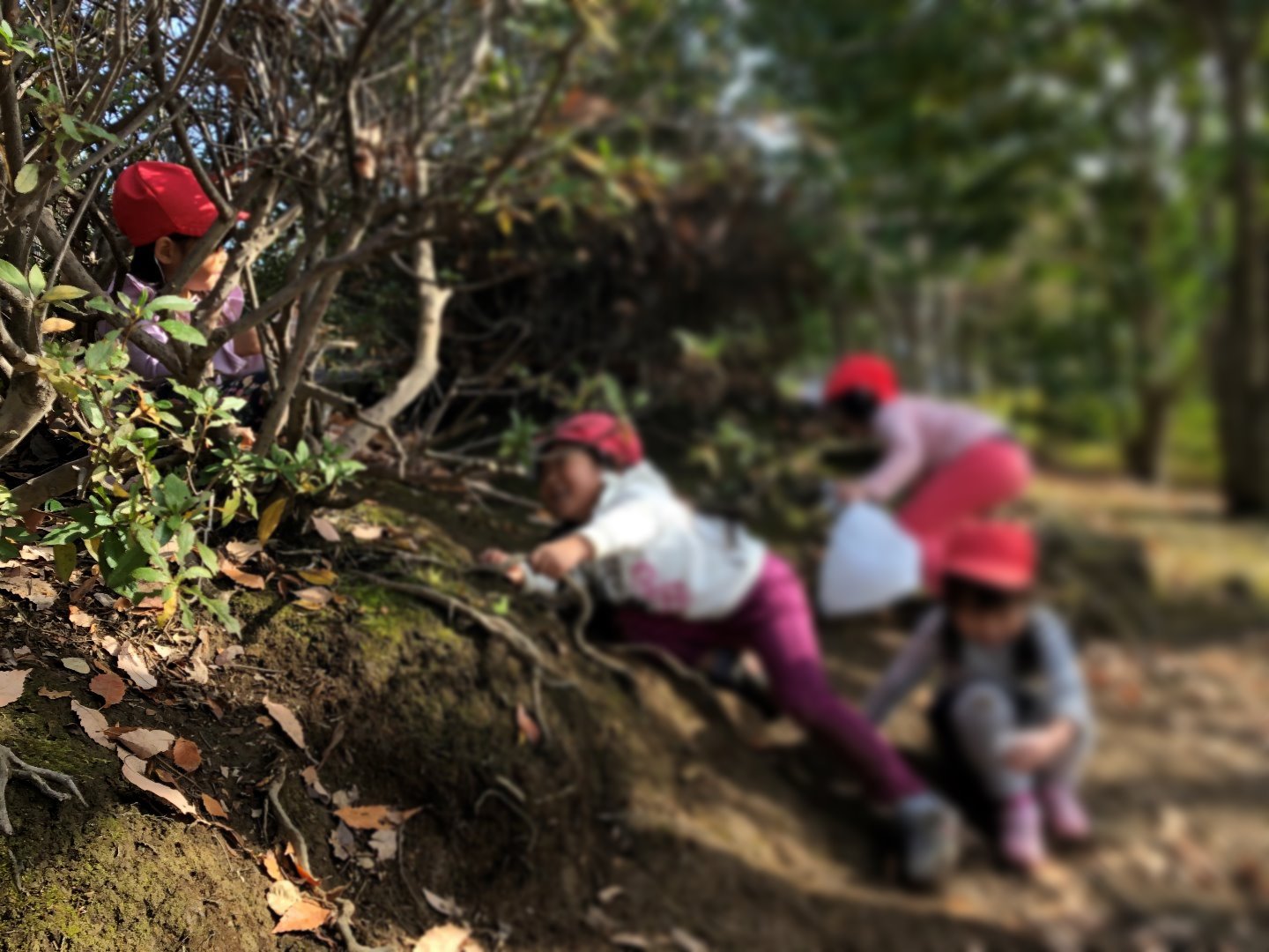 写真：公園へのお散歩