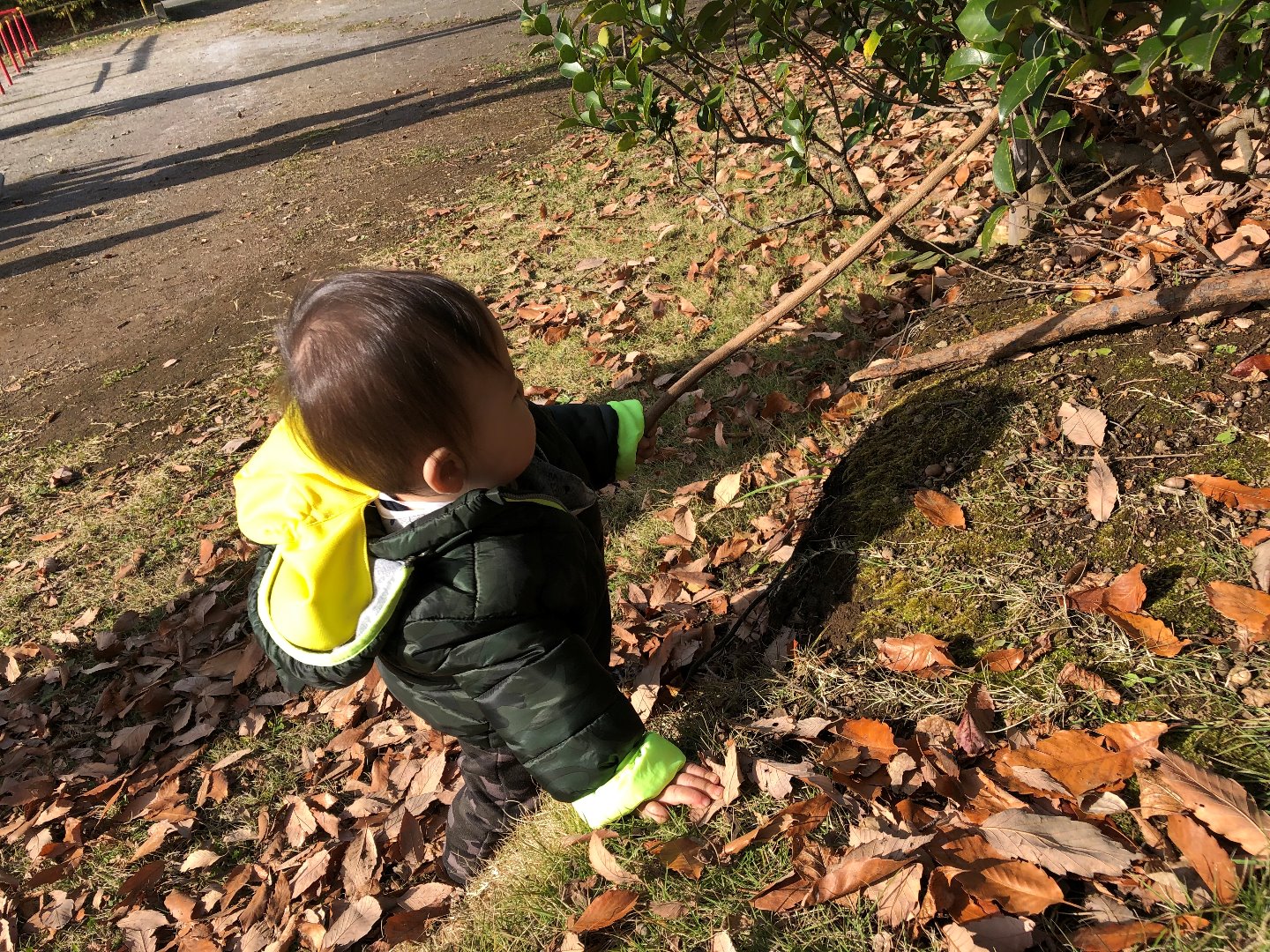 写真：公園へのお散歩