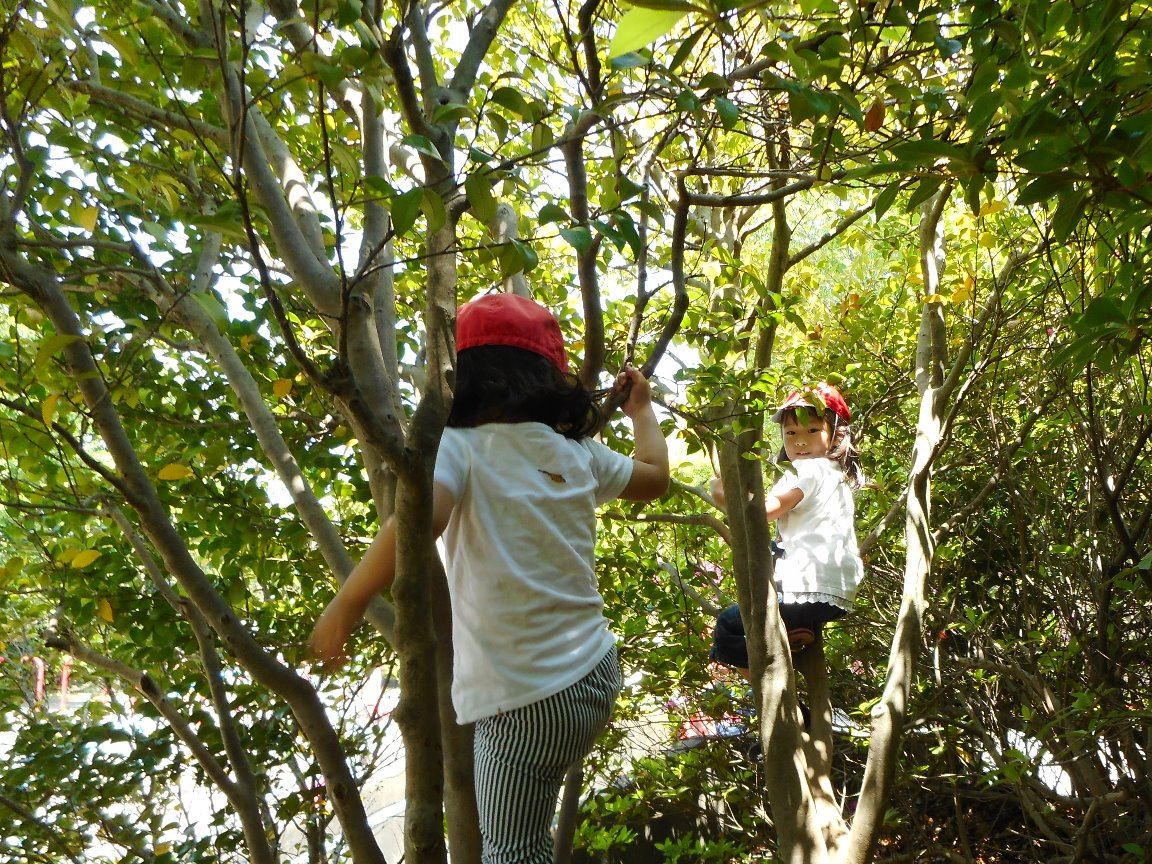 写真：公園へのお散歩