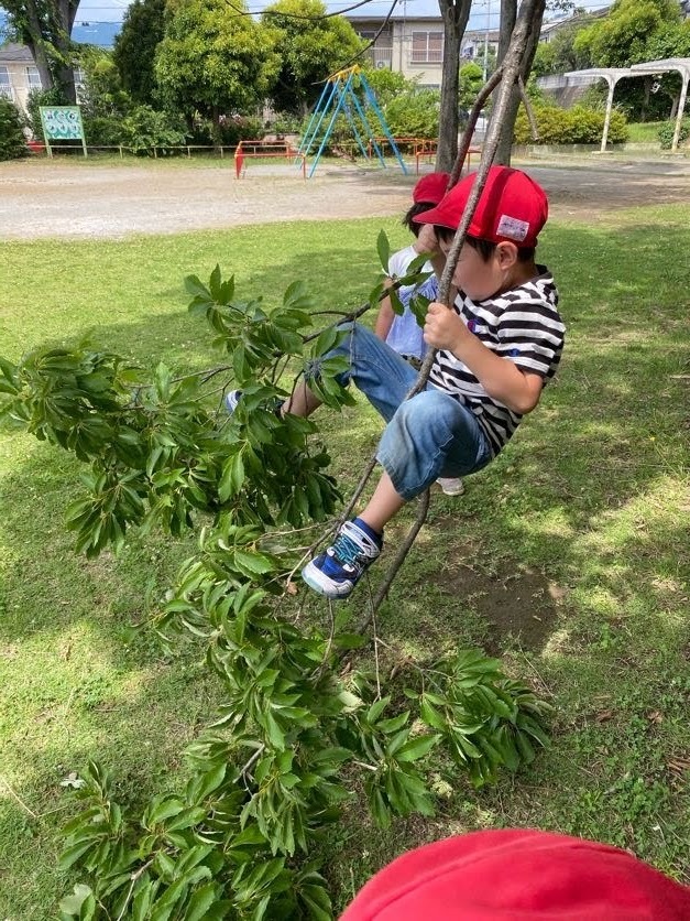 写真：公園へのお散歩